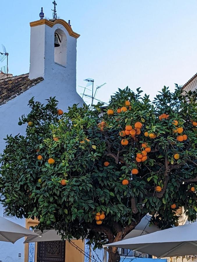 Marbella - Playa Alicate 2Br Holiday Apartment Luaran gambar